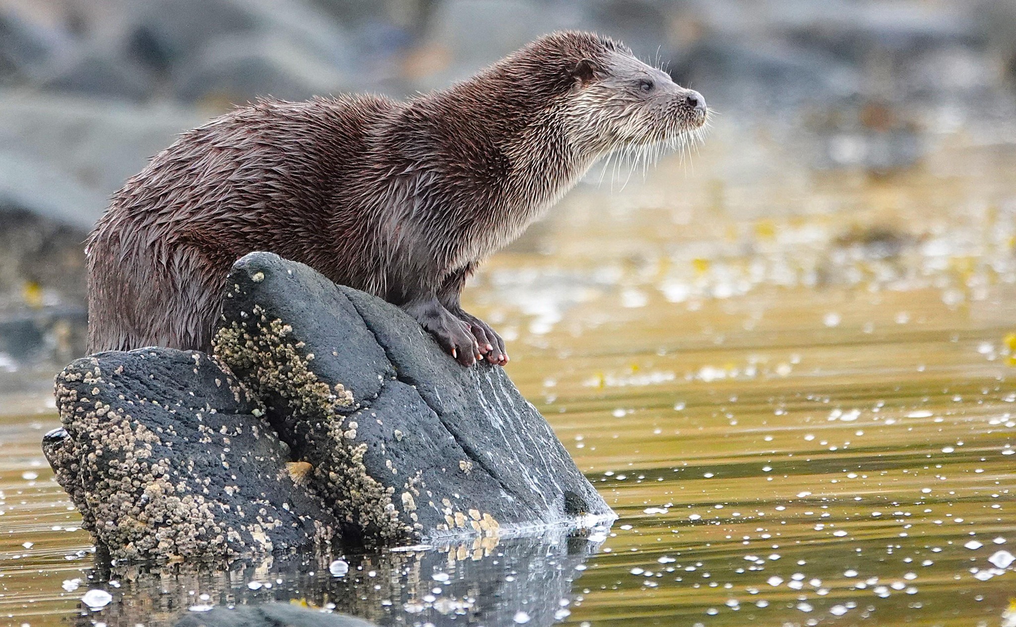 A Photographic Talk by Rupert Kirkwood, The Lone Kayaker - MONDAY 1ST DECEMBER, 2025 FOR ONE NIGHT ONLY